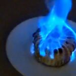 「燃えるケーキ」って流行ってた？イカとキノコ、人参デザート…個性と旨みを追求するリネディ